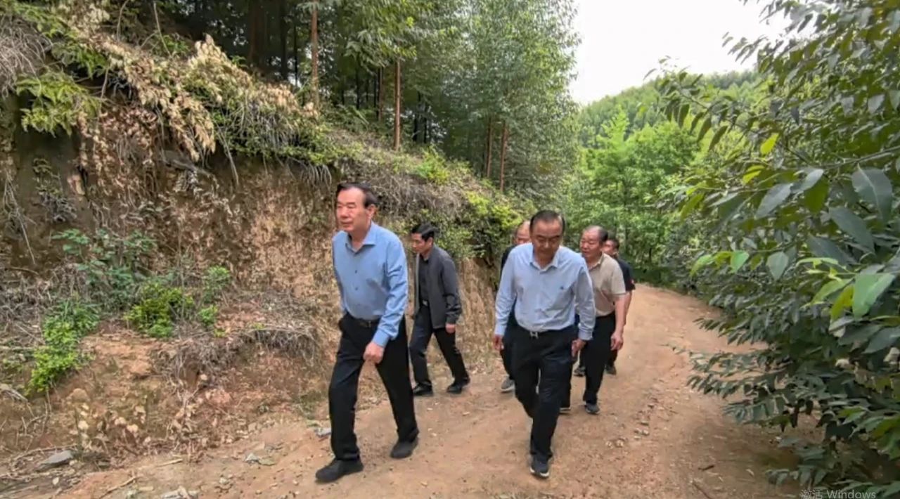魯麗集團(tuán)董事長(zhǎng)薛茂林到湖南魯麗自培育林地視察