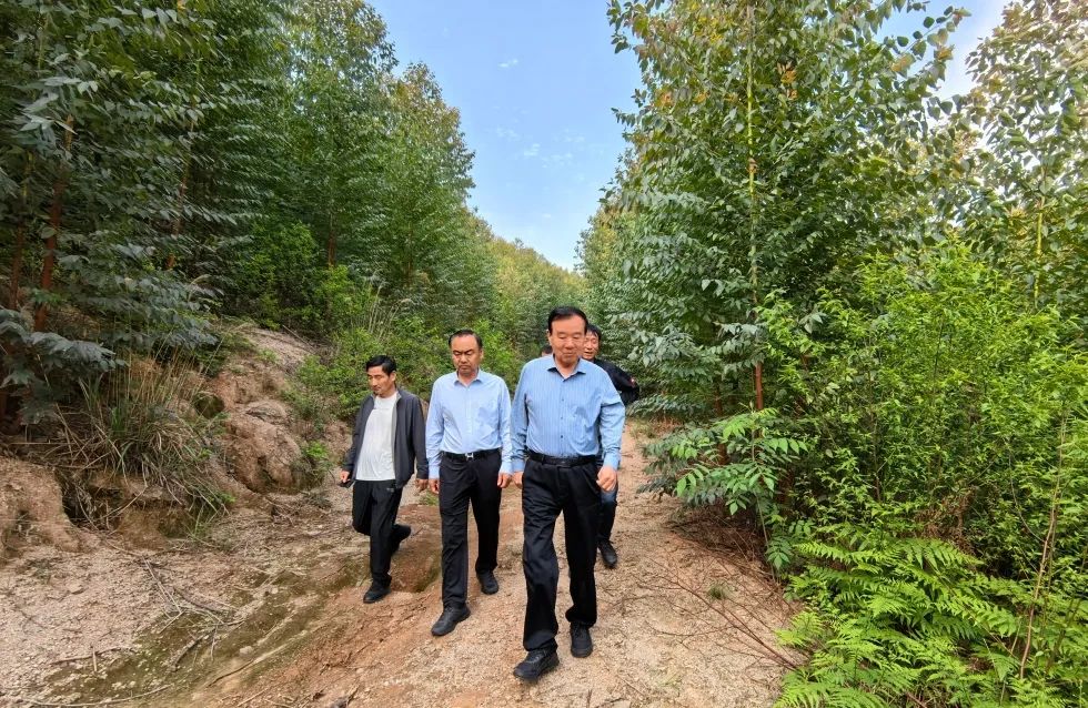 魯麗集團(tuán)董事長(zhǎng)薛茂林到江西魯麗木業(yè)自培育林場(chǎng)視察